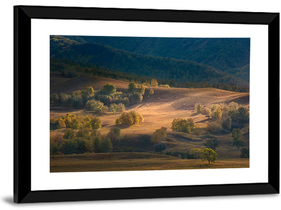 Bashang Plateau Golden Hour Wall Art
