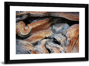 Juniper Wood Texture Wall Art