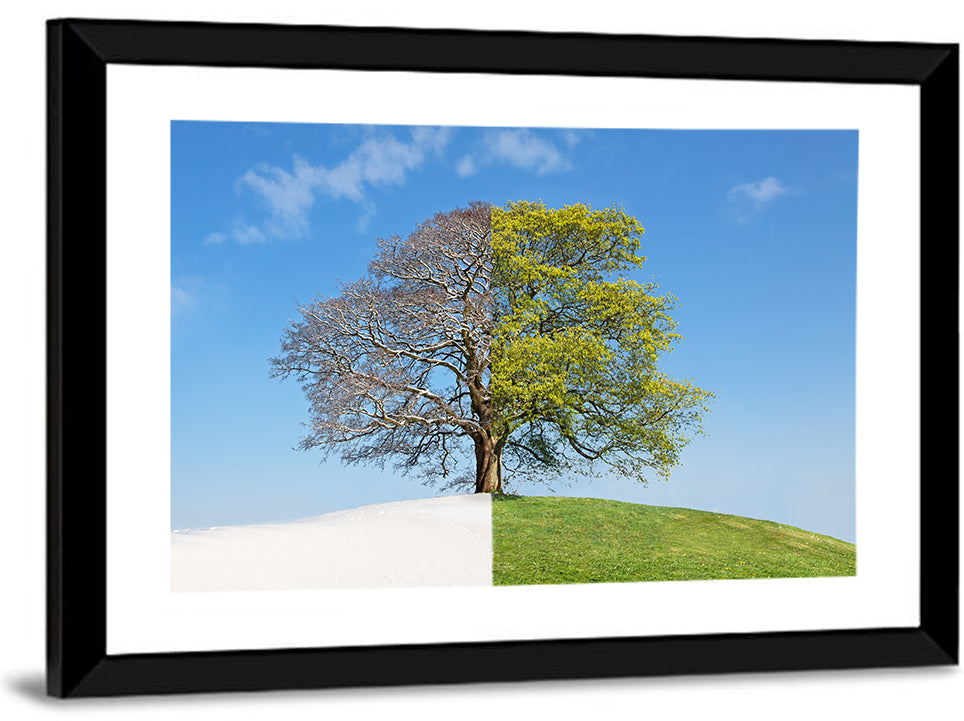 Split Season Tree Landscape Wall Art