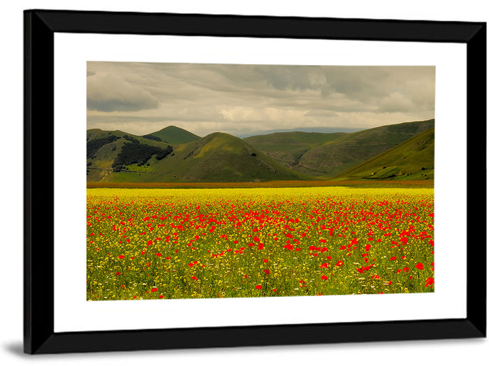 Castelluccio Wildflower Meadow Wall Art as a framed print