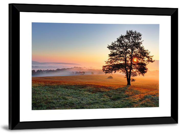 Misty Meadow Sunrise with Lone Tree Wall Art as a framed print