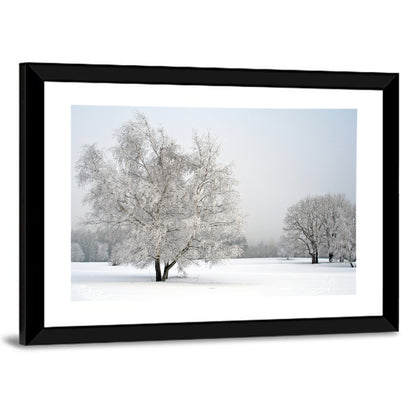Frosted Birch Grove Wall Art
