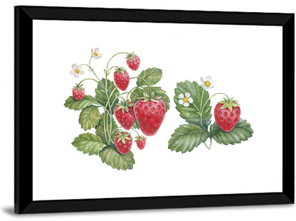 Fresh Strawberry Botanical Illustration Wall Art