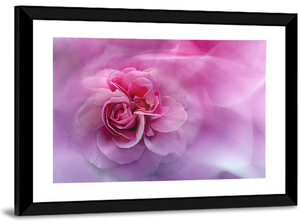 Ethereal Pink Rose Bloom Wall Art