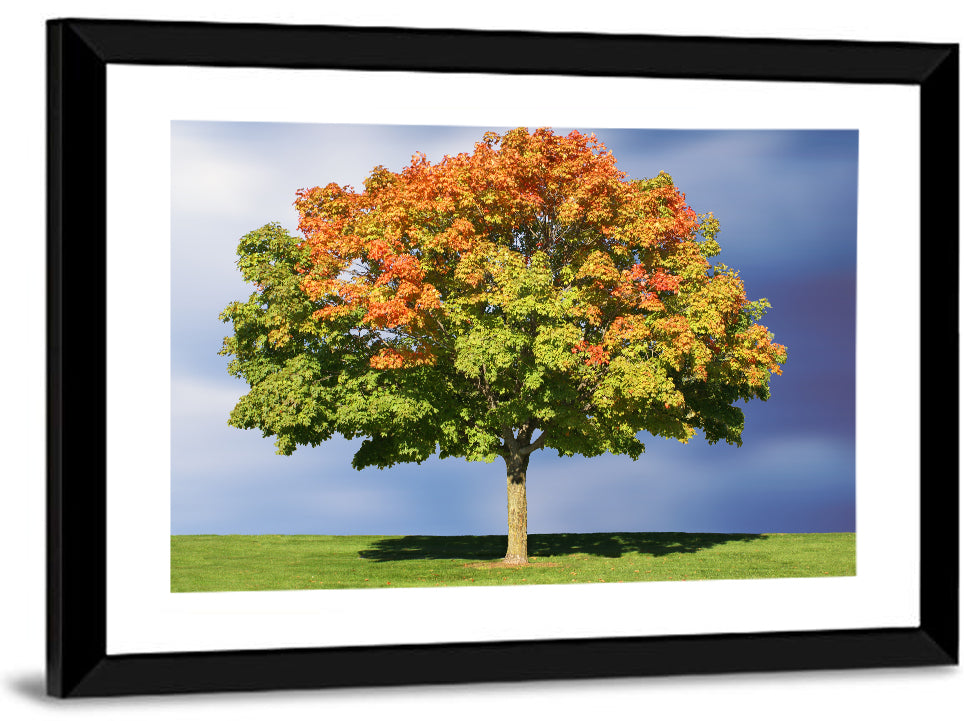 Maple with Split Foliage Wall Art