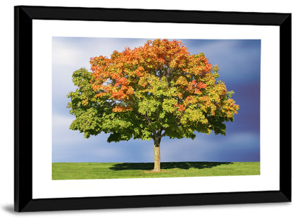 Maple with Split Foliage Wall Art