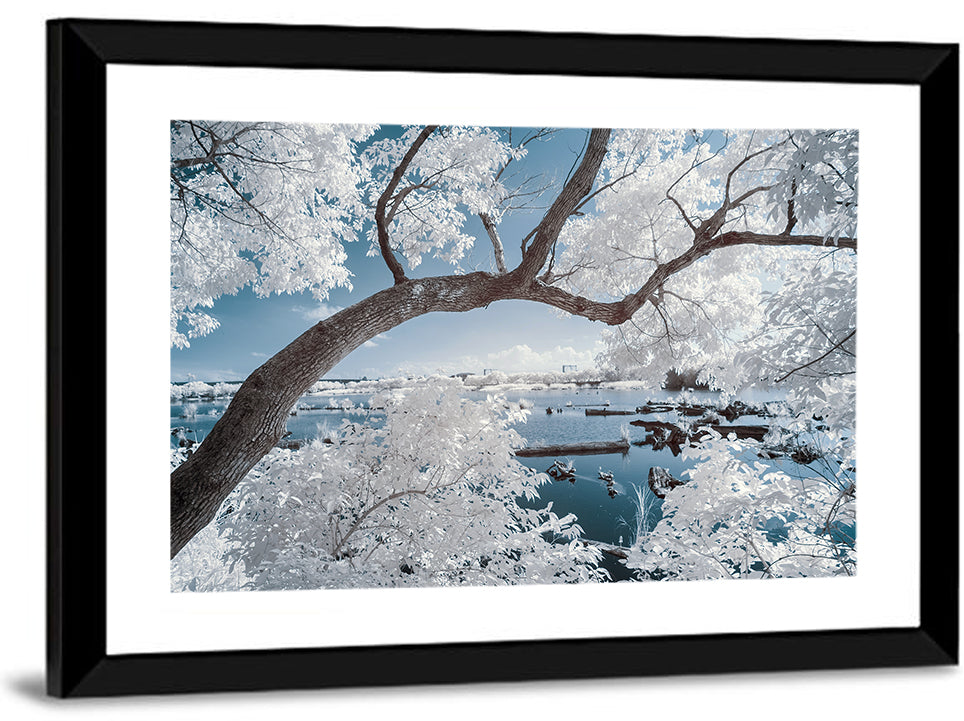 Curving Winter Tree Over Lake Wall Art