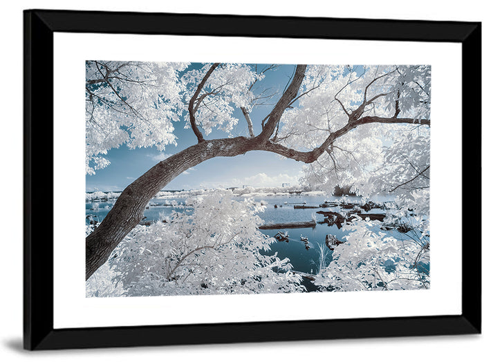 Curving Winter Tree Over Lake Wall Art as a framed print