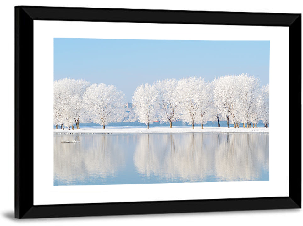 Frosted Winter Trees Reflected on a Quiet Lake Wall Art