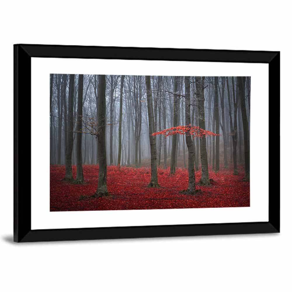 Red Foggy Autumn Forest Wall Art