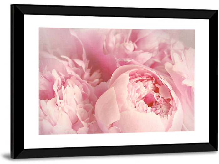 Soft Pink Peony Close Up Wall Art as a framed print