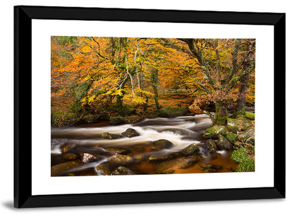 Dartmoor Autumn River in Golden Forest Wall Art