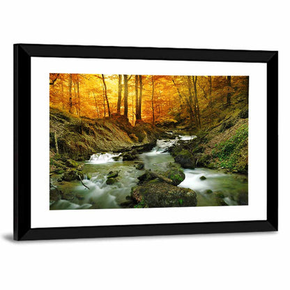 Sunlit Forest Stream Wall Art