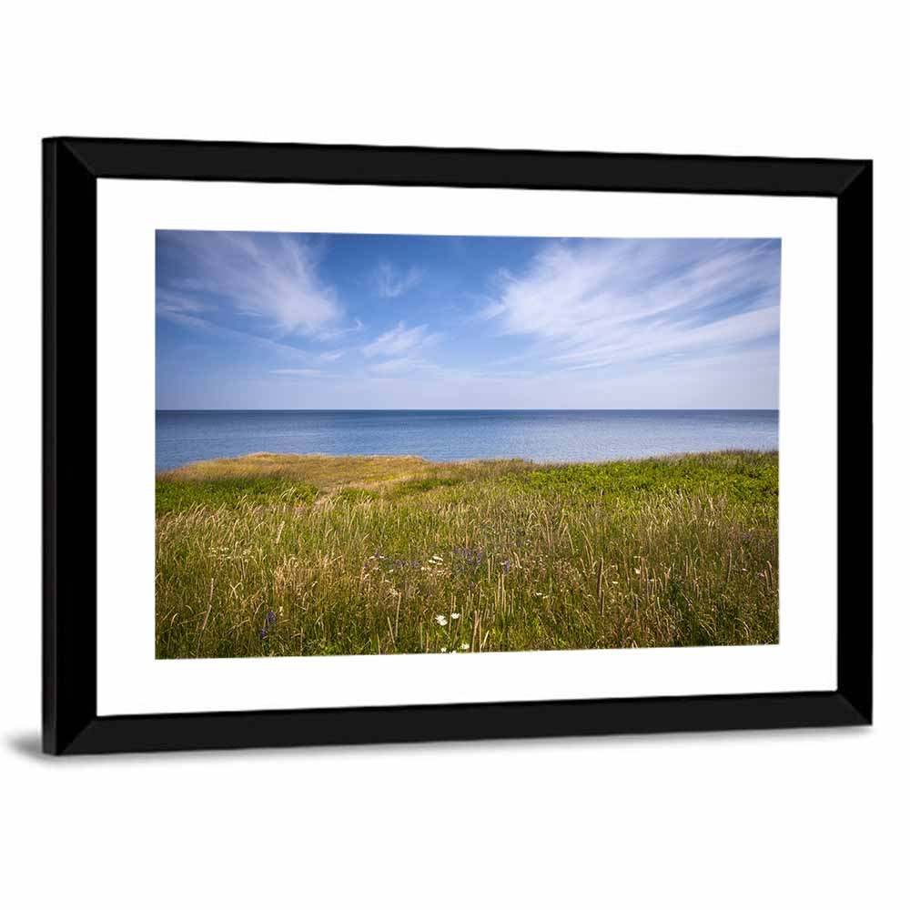 Atlantic Coastal Meadow Wall Art