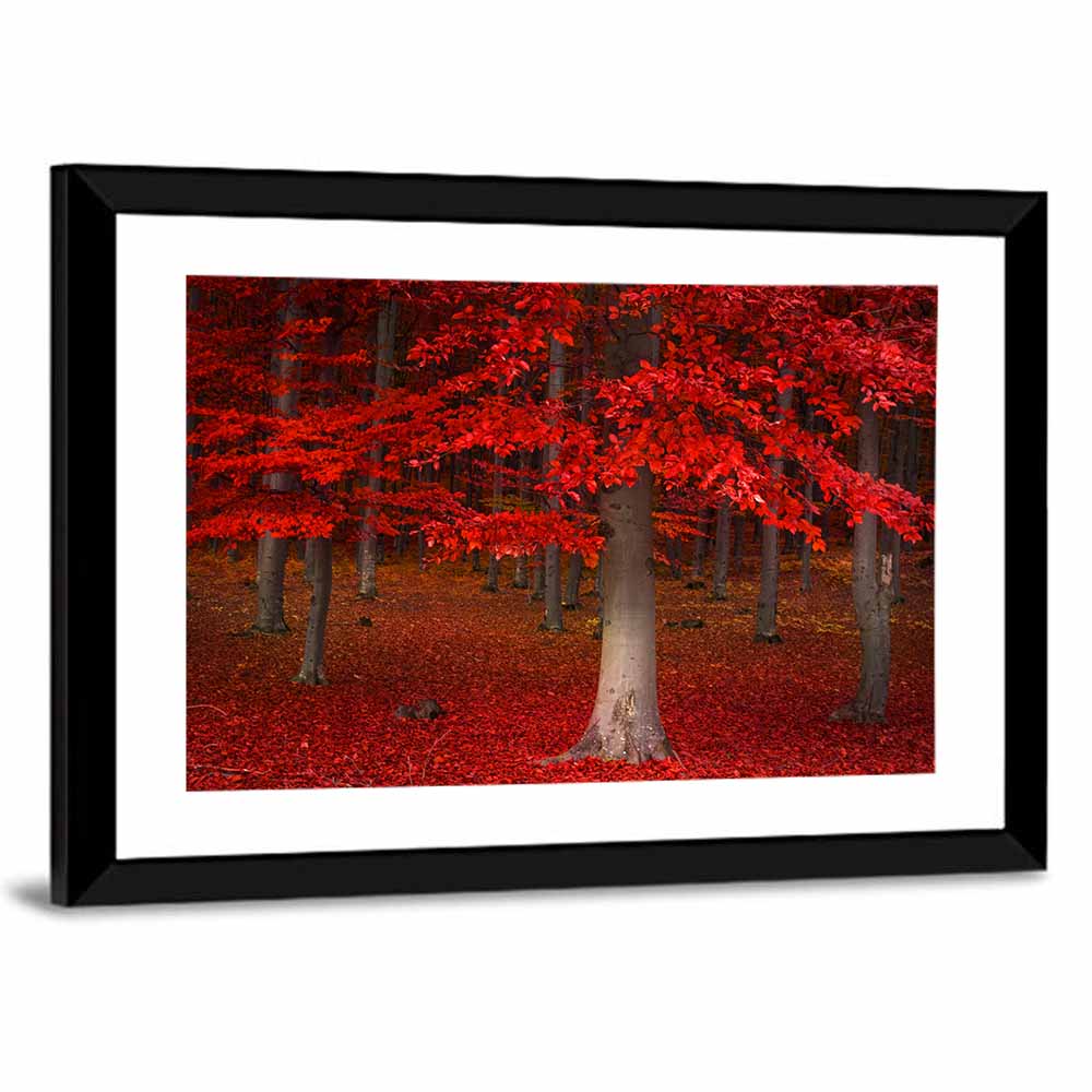 Red Forest Wall Art