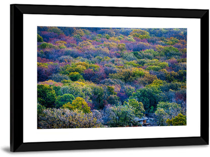 Autumn Canopy Forest with Cabin Roof Wall Art