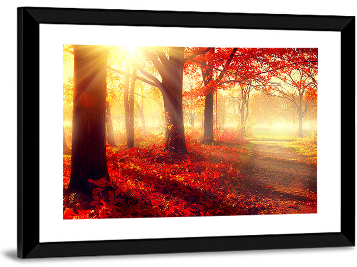 Sunlit Forest Path Wall Art as a framed print