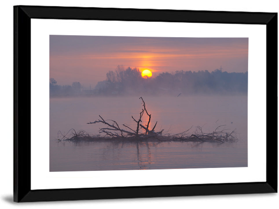 Misty Lake Sunrise with Fallen Tree Wall Art