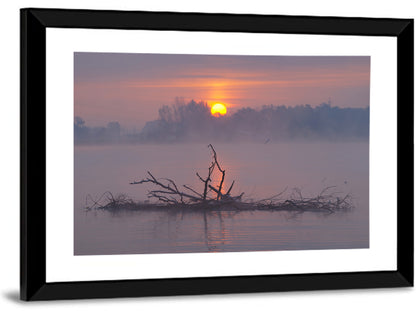 Misty Lake Sunrise with Fallen Tree Wall Art