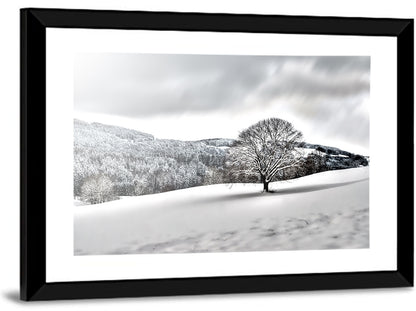 Solitary Snowy Tree Landscape Wall Art