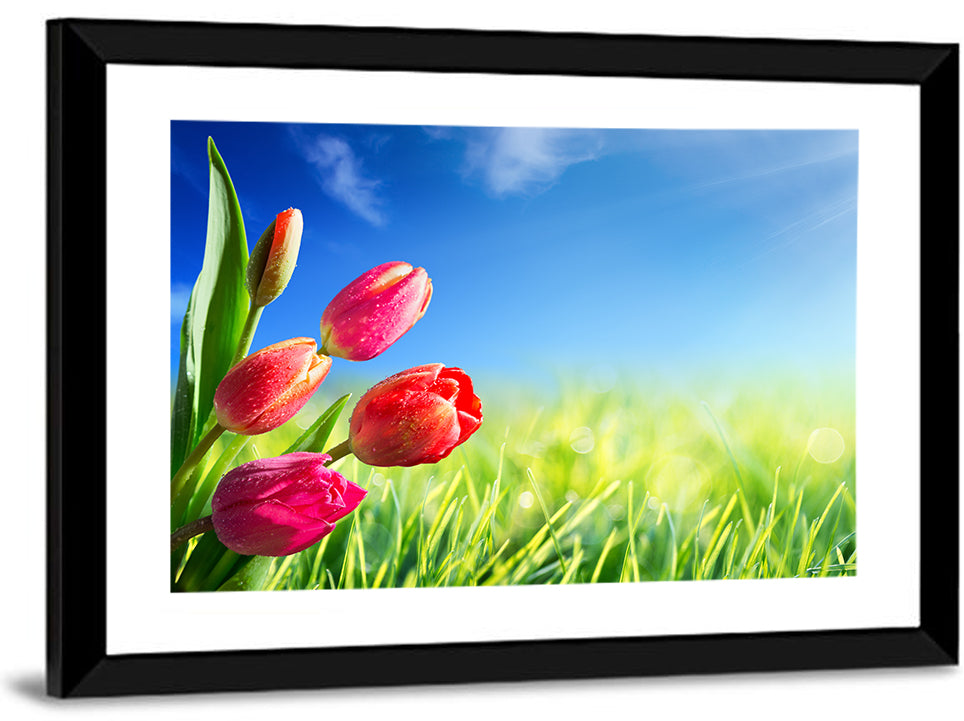 Tulips in Spring Wall Art