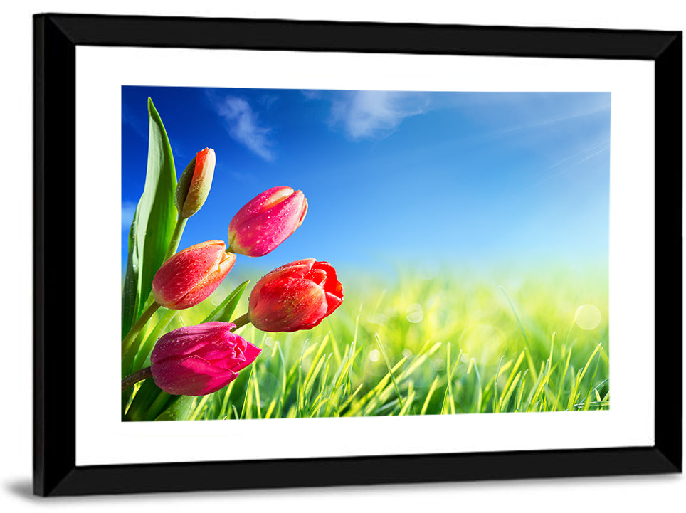 Dewy Red Tulips Under Blue Sky Wall Art