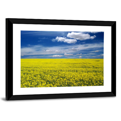 Sunlit Canola Field Wall Art