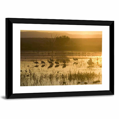 Golden Hour Sandhill Cranes on Lake Wall Art
