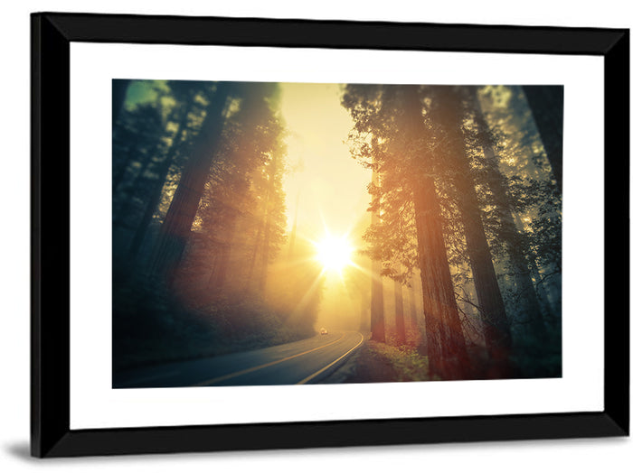 Misty Redwood Road with Golden Sunburst Wall Art as a framed print