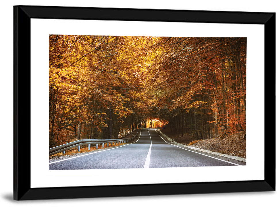 Autumn Forest Road with Canopy Wall Art