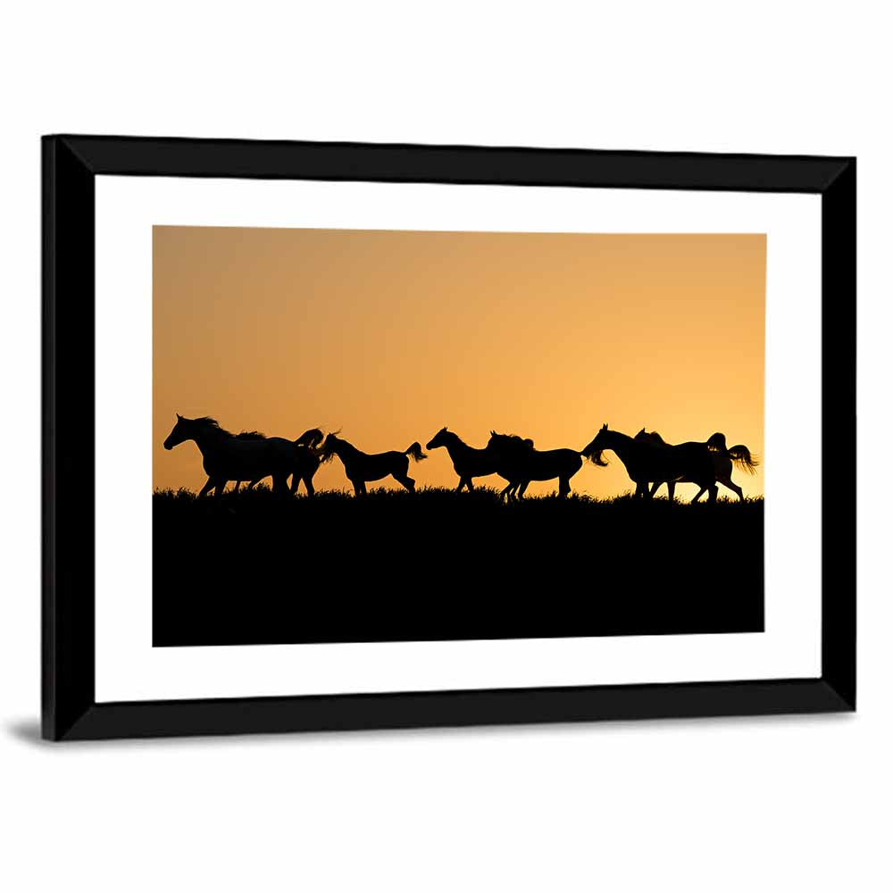 Arabian Horses Wall Art