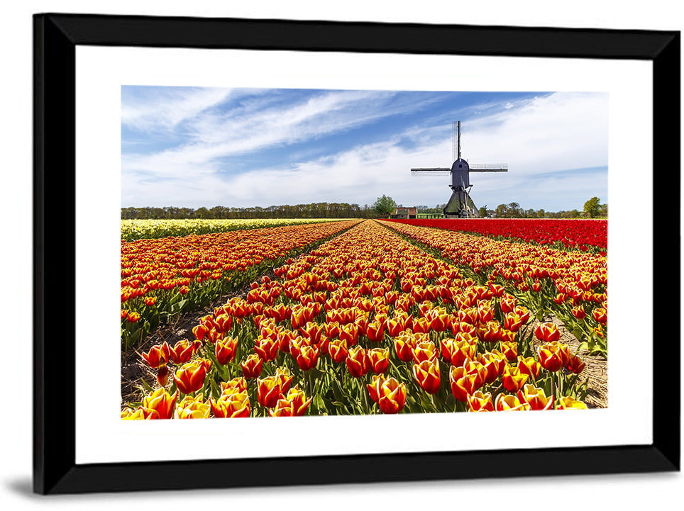 Windmill Over Tulip Fields Wall Art