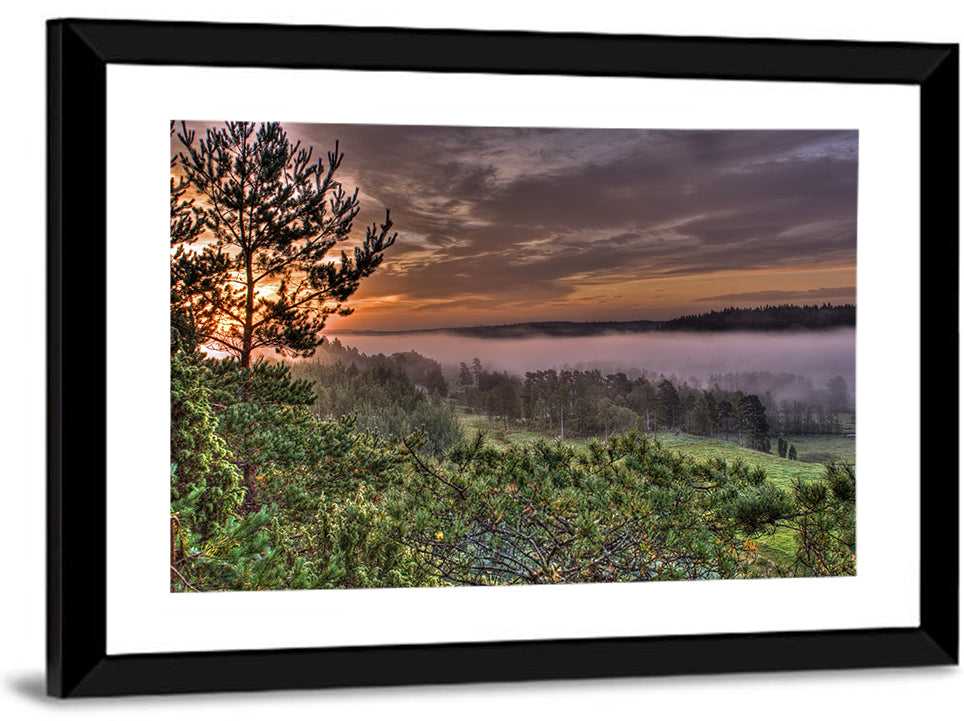 Misty Swedish Pine Valley Wall Art