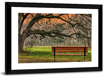 Misty Autumn Park Bench Wall Art