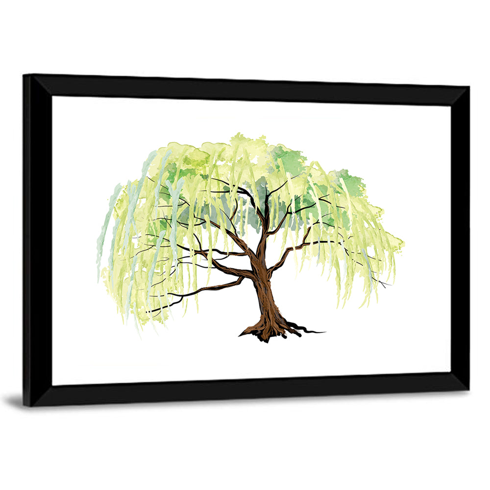 Weeping Willow Watercolor Sketch Wall Art