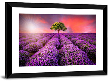 Sunset Over Lavender Fields Wall Art