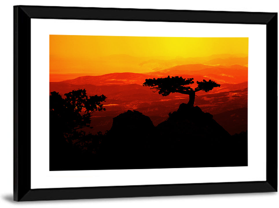 Gnarled Tree at African Sunset Wall Art
