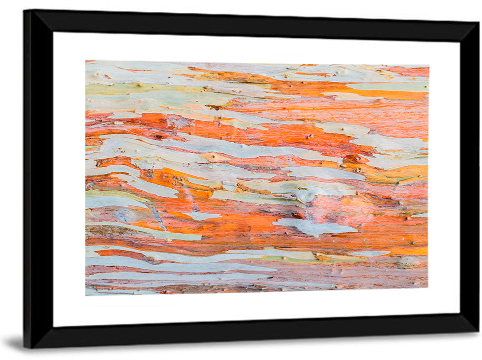 Abstract Eucalyptus Bark Layers Wall Art