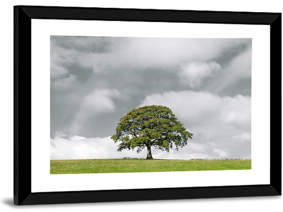 Solitary Oak in Meadow Wall Art