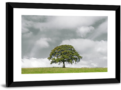 Solitary Oak in Meadow Wall Art