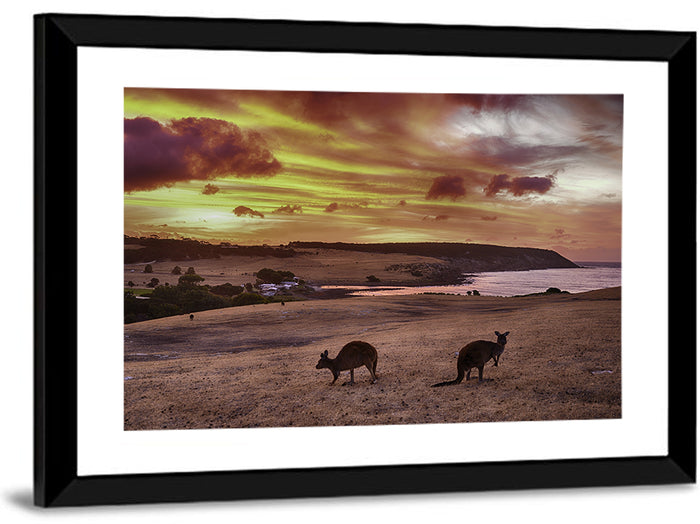 Two Kangaroos at Sunset Coast Wall Art as a framed print