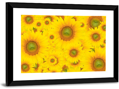 Sunflower Field Close-up in Yellow Wall Art