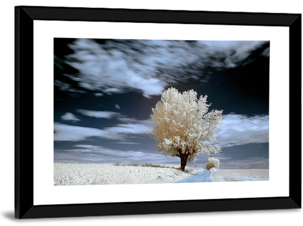 Infrared Winter Willow Tree Wall Art