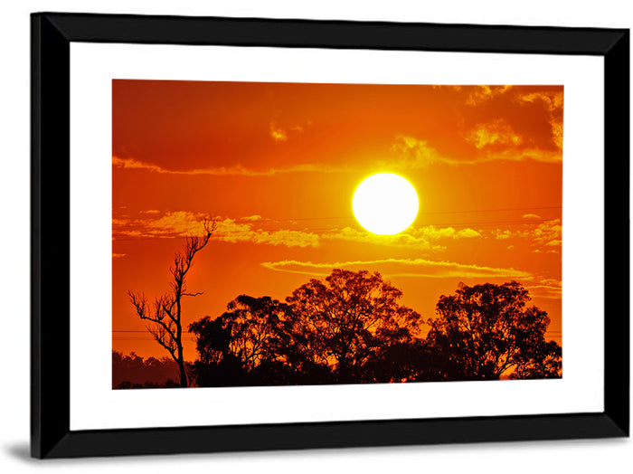 Burning Sun Over Tree Silhouettes Wall Art as a framed print