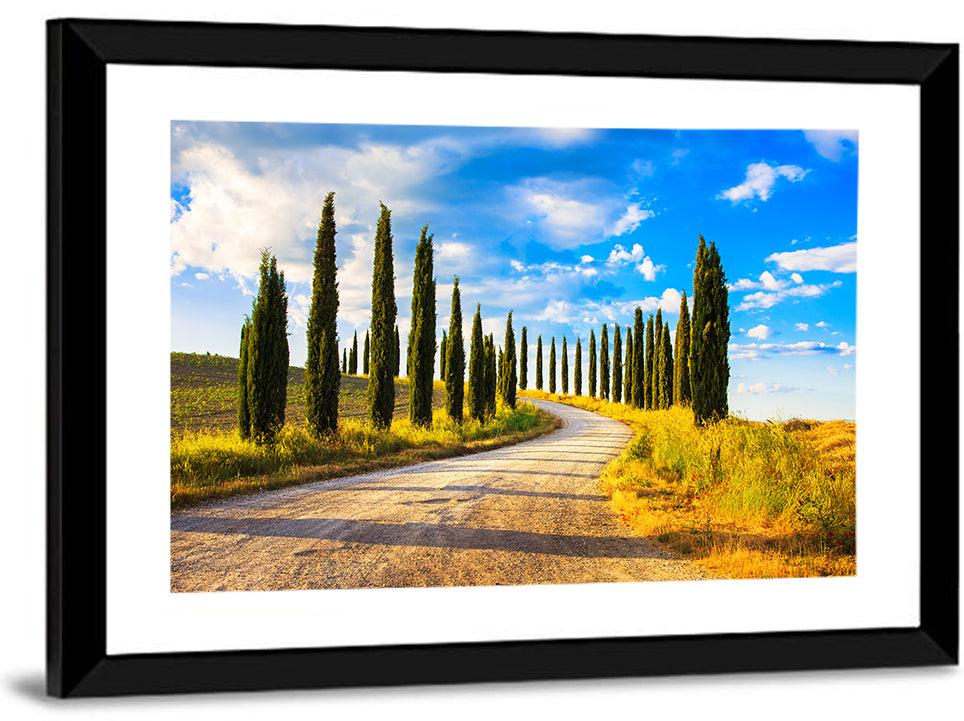 Sunlit Tuscany Cypress Road Wall Art