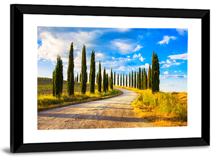 Sunlit Tuscany Cypress Road Wall Art