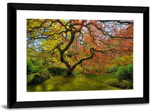 Japanese Maple Tree Wall Art