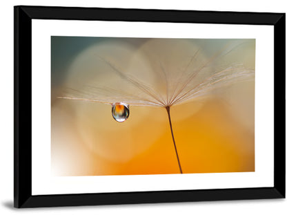 Dandelion Seed with Droplet Wall Art