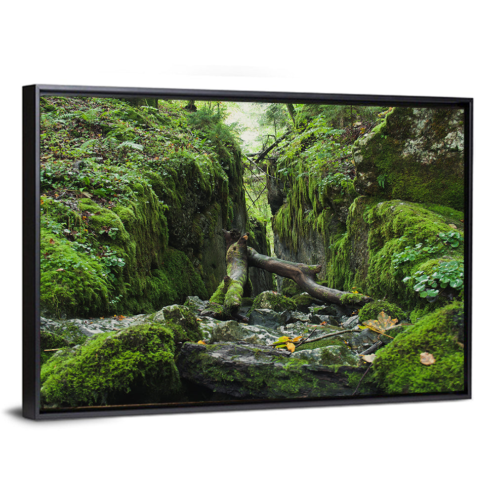 Kammersee Mossy Cleft Wall Art