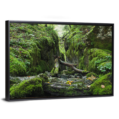 Kammersee Mossy Cleft Wall Art
